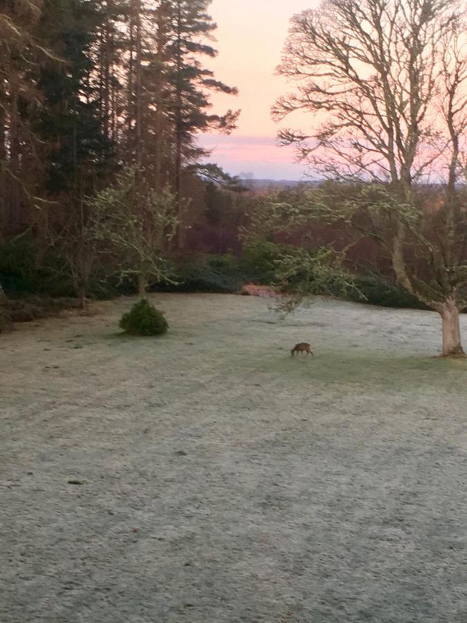 Blervie House Hotel Forres Eksteriør billede